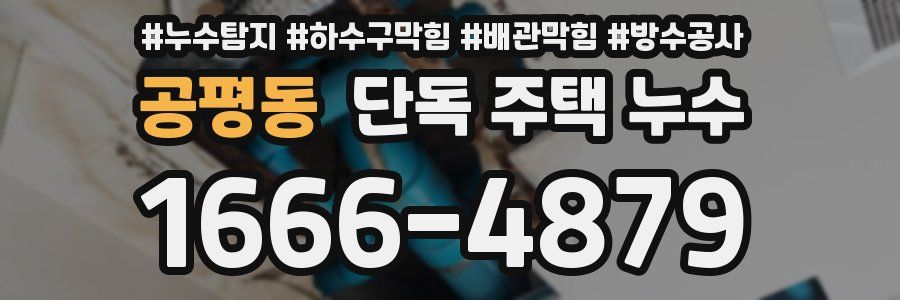 공평동 단독 주택 누수