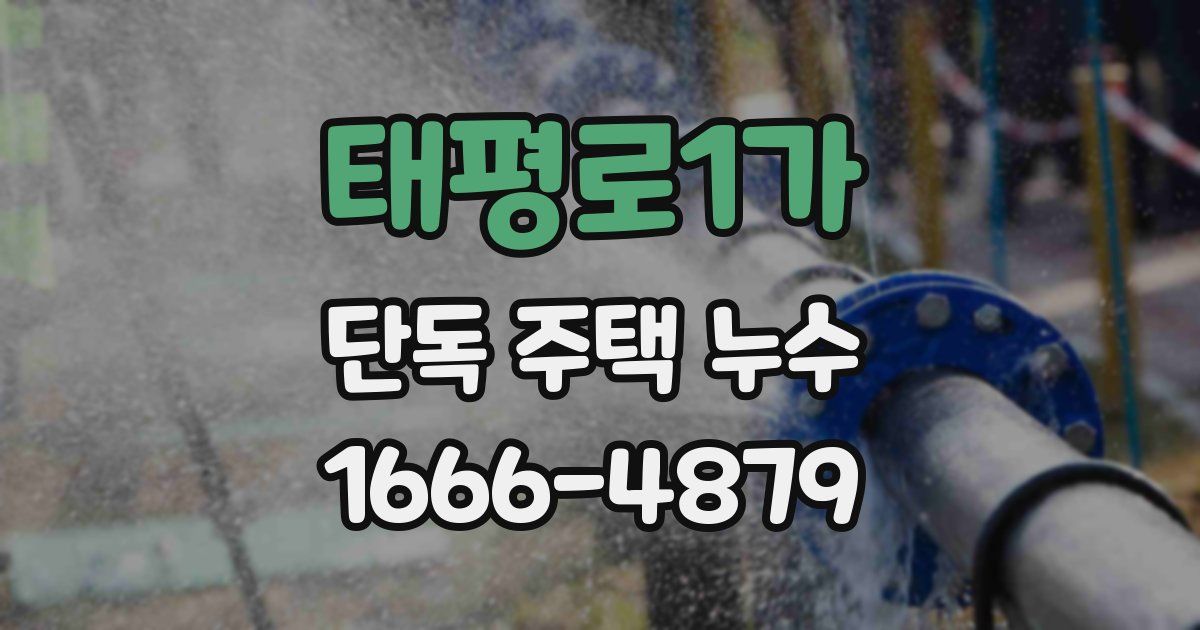 태평로1가 단독 주택 누수