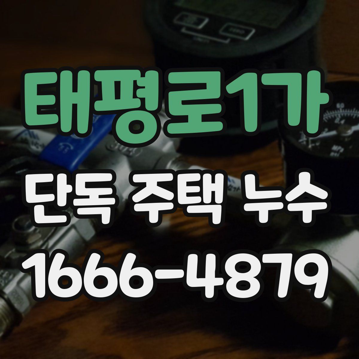 태평로1가 단독 주택 누수