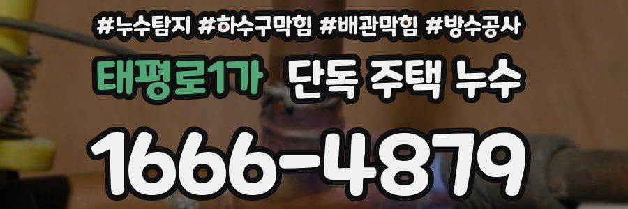 태평로1가 단독 주택 누수