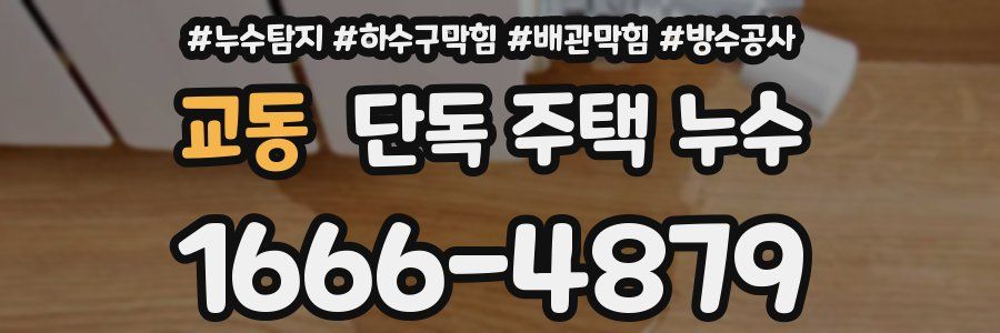 교동 단독 주택 누수