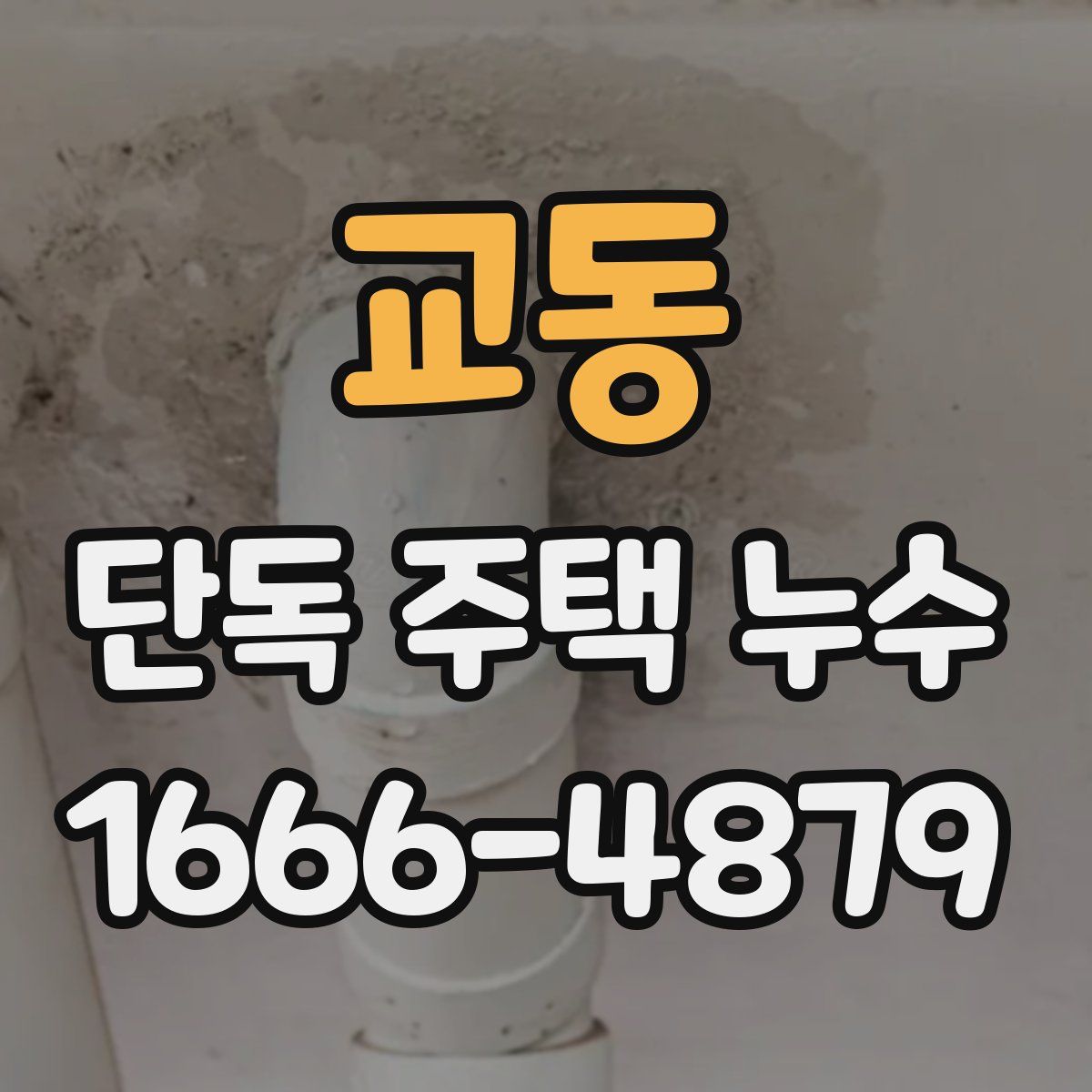 교동 단독 주택 누수