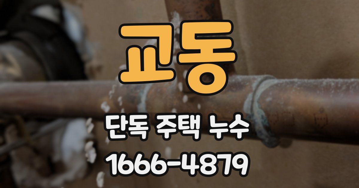 교동 단독 주택 누수