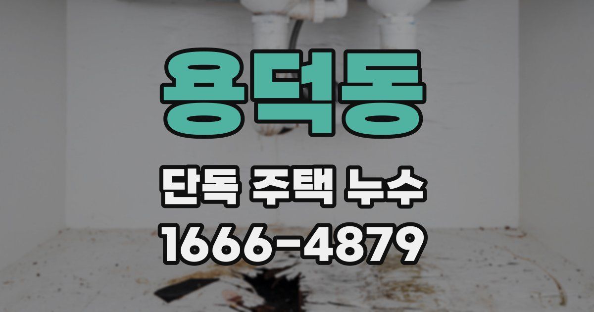 용덕동 단독 주택 누수