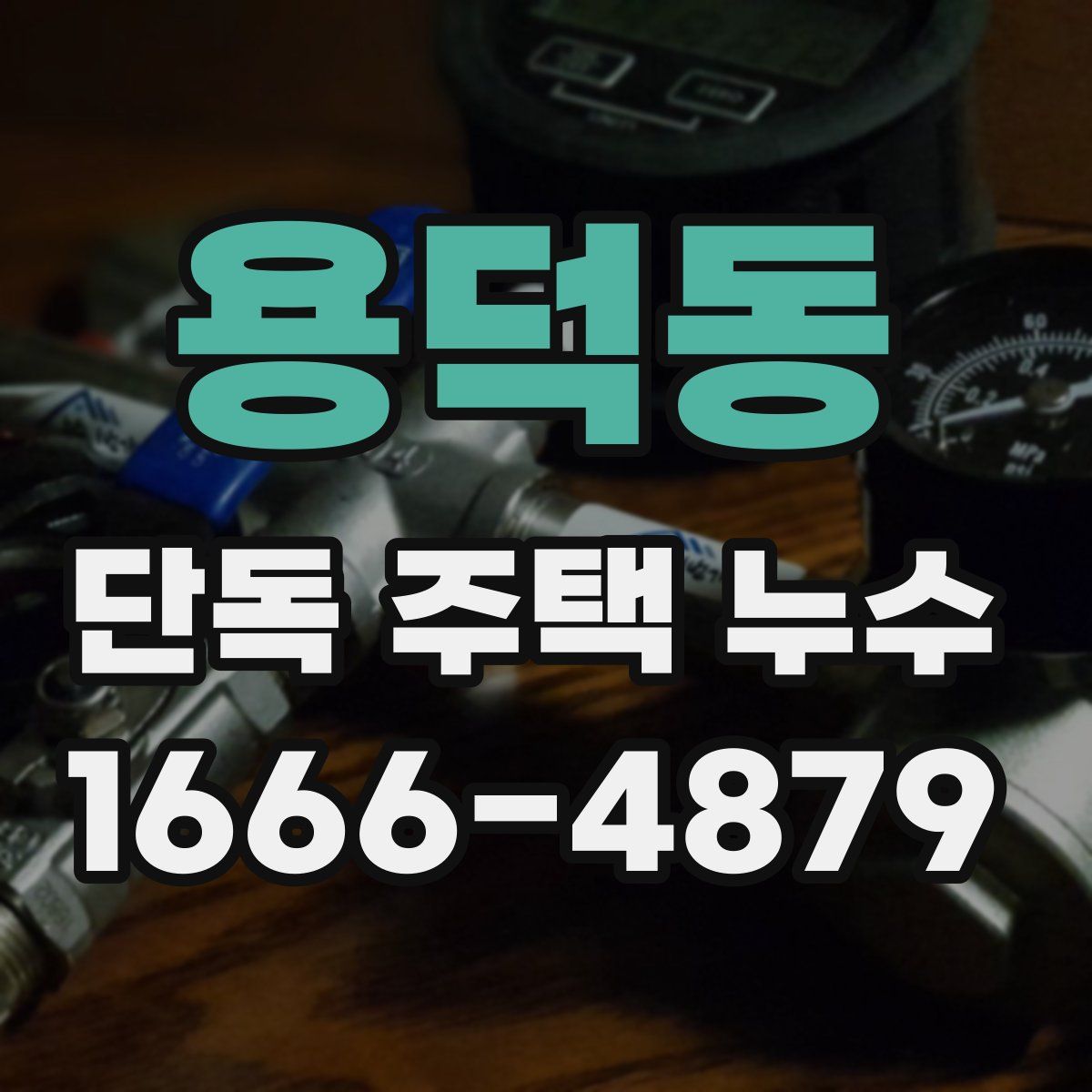 용덕동 단독 주택 누수