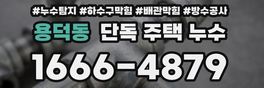용덕동 단독 주택 누수