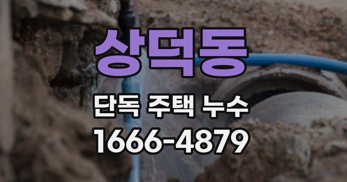 상덕동 단독 주택 누수