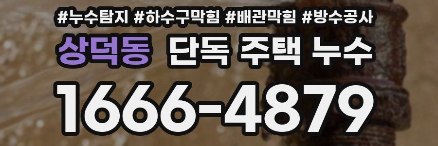 상덕동 단독 주택 누수