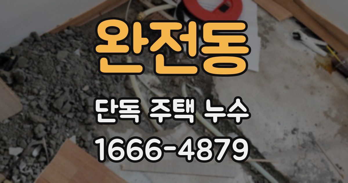완전동 단독 주택 누수