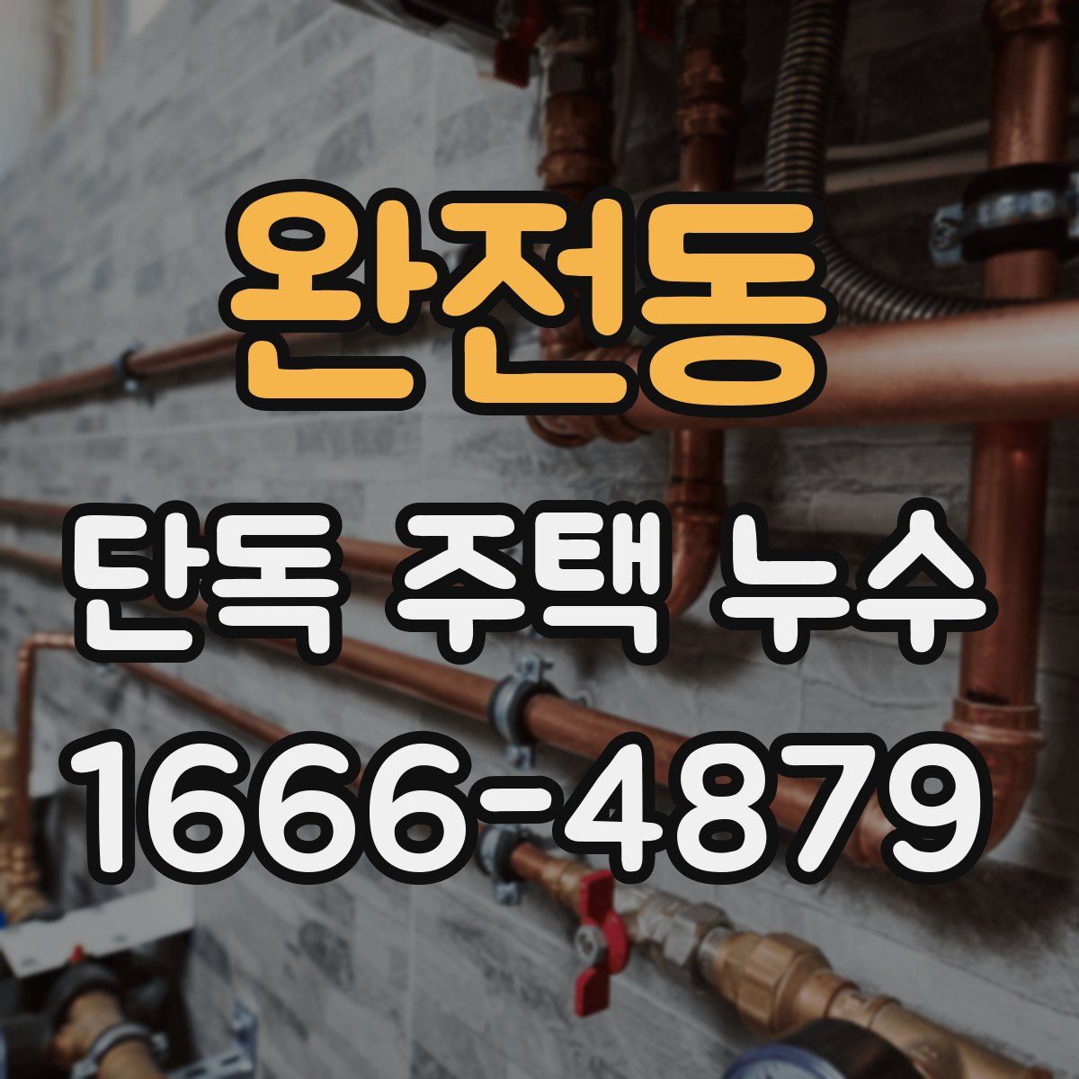 완전동 단독 주택 누수