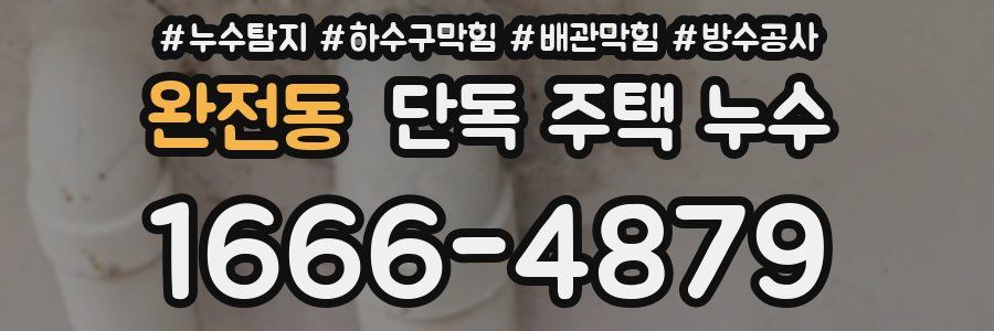 완전동 단독 주택 누수