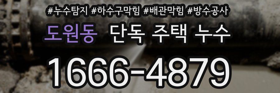 도원동 단독 주택 누수