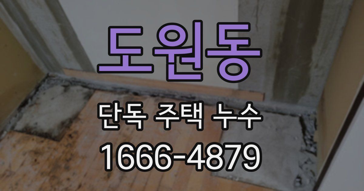 도원동 단독 주택 누수
