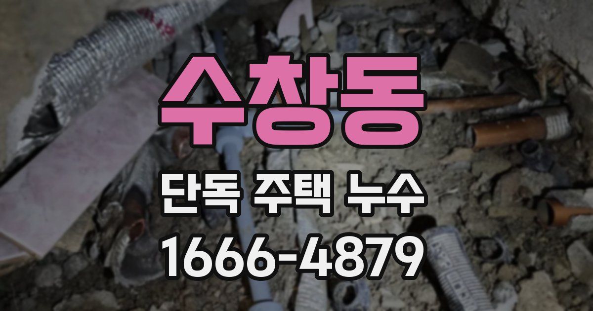 수창동 단독 주택 누수