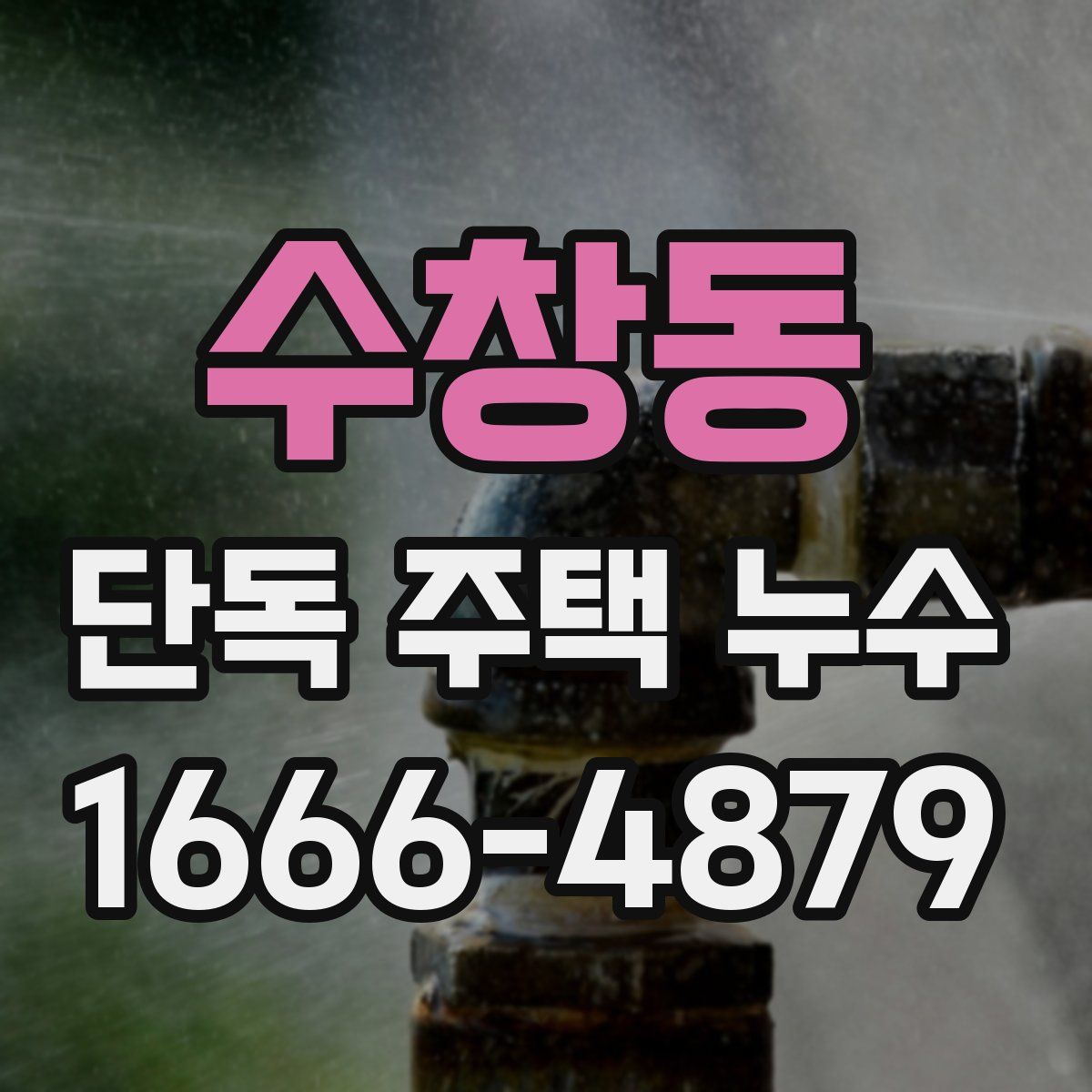 수창동 단독 주택 누수