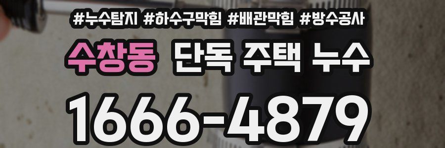 수창동 단독 주택 누수