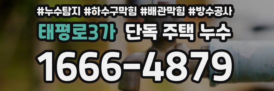 태평로3가 단독 주택 누수