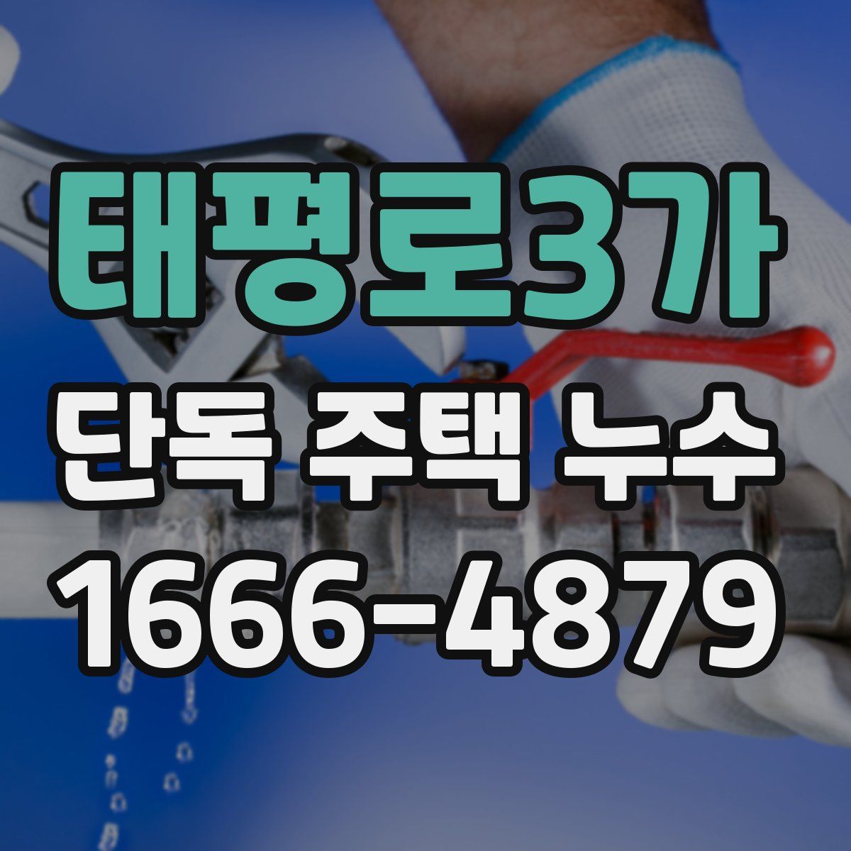 태평로3가 단독 주택 누수