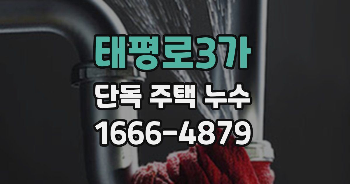태평로3가 단독 주택 누수