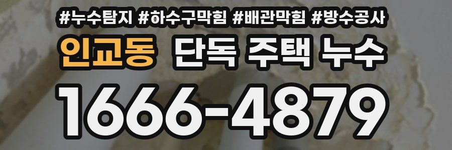 인교동 단독 주택 누수