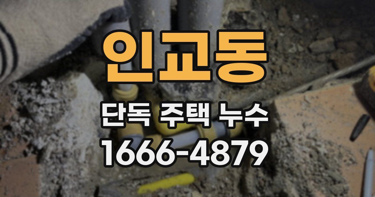 인교동 단독 주택 누수