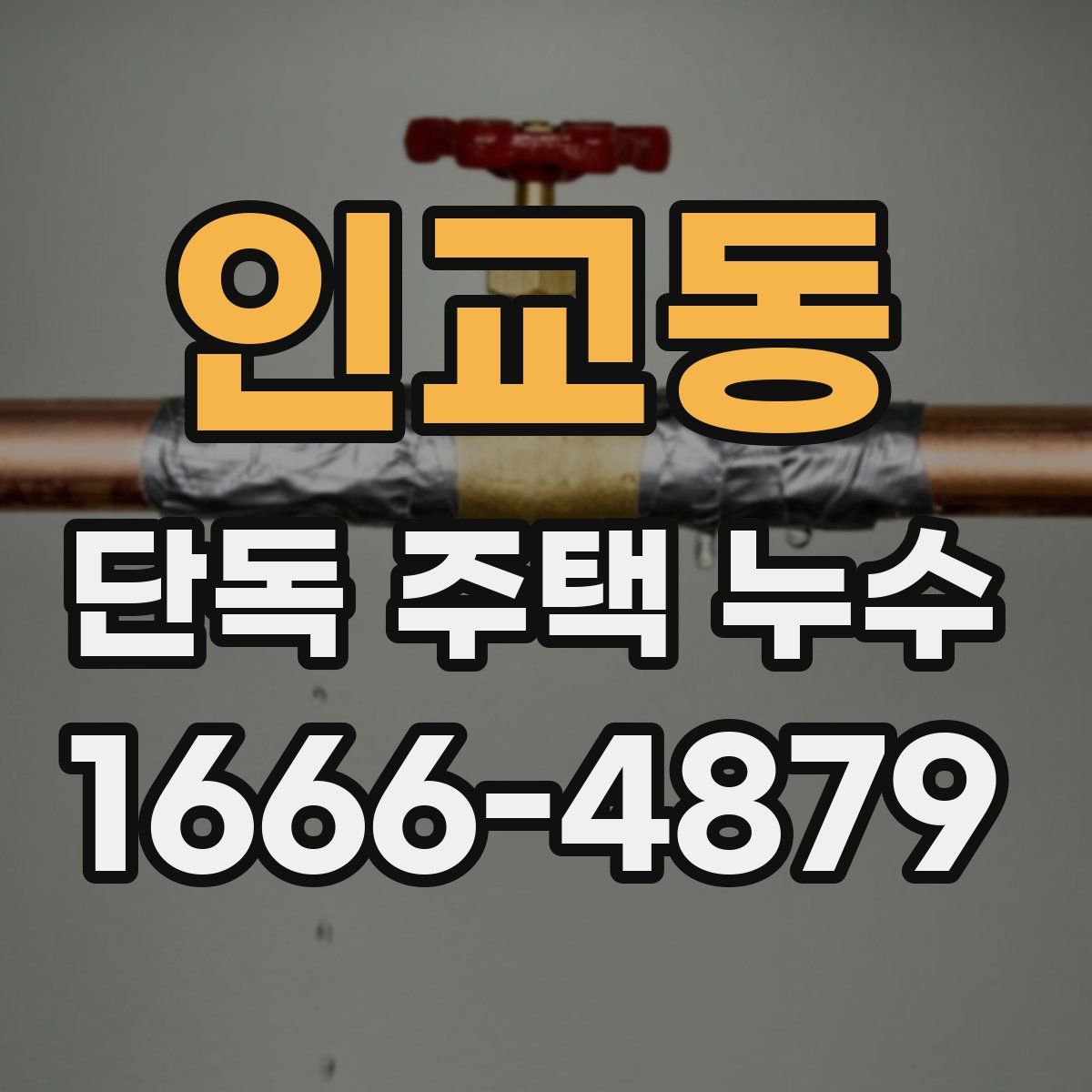 인교동 단독 주택 누수