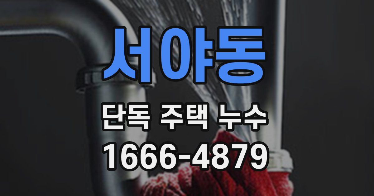 서야동 단독 주택 누수