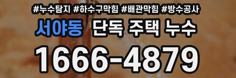 서야동 단독 주택 누수