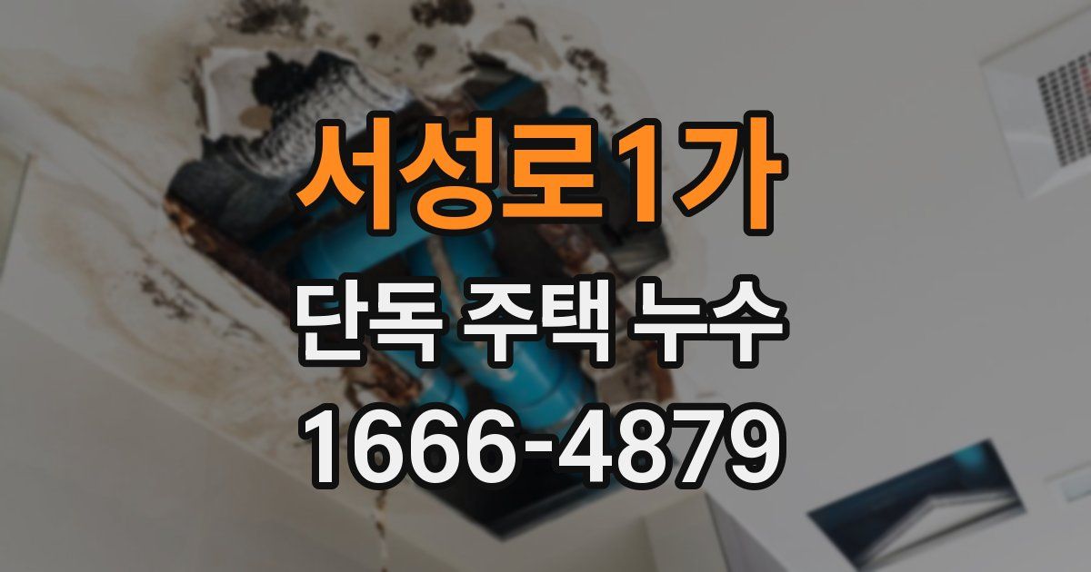 서성로1가 단독 주택 누수