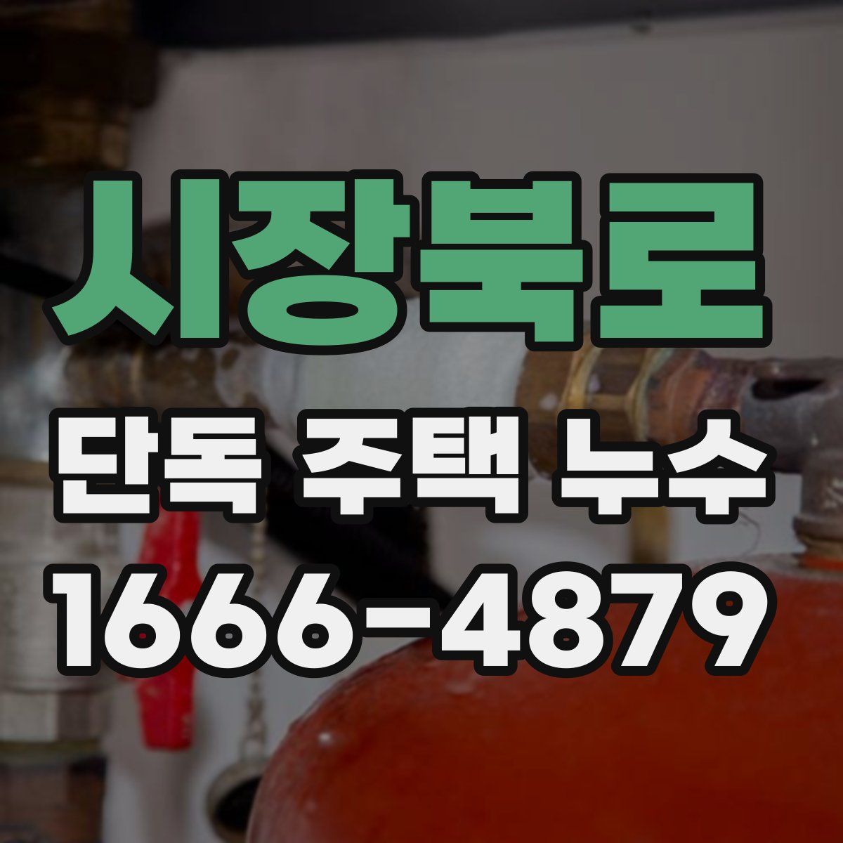 시장북로 단독 주택 누수