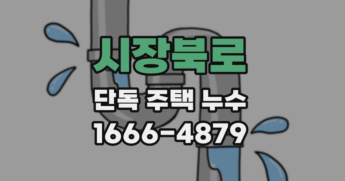 시장북로 단독 주택 누수