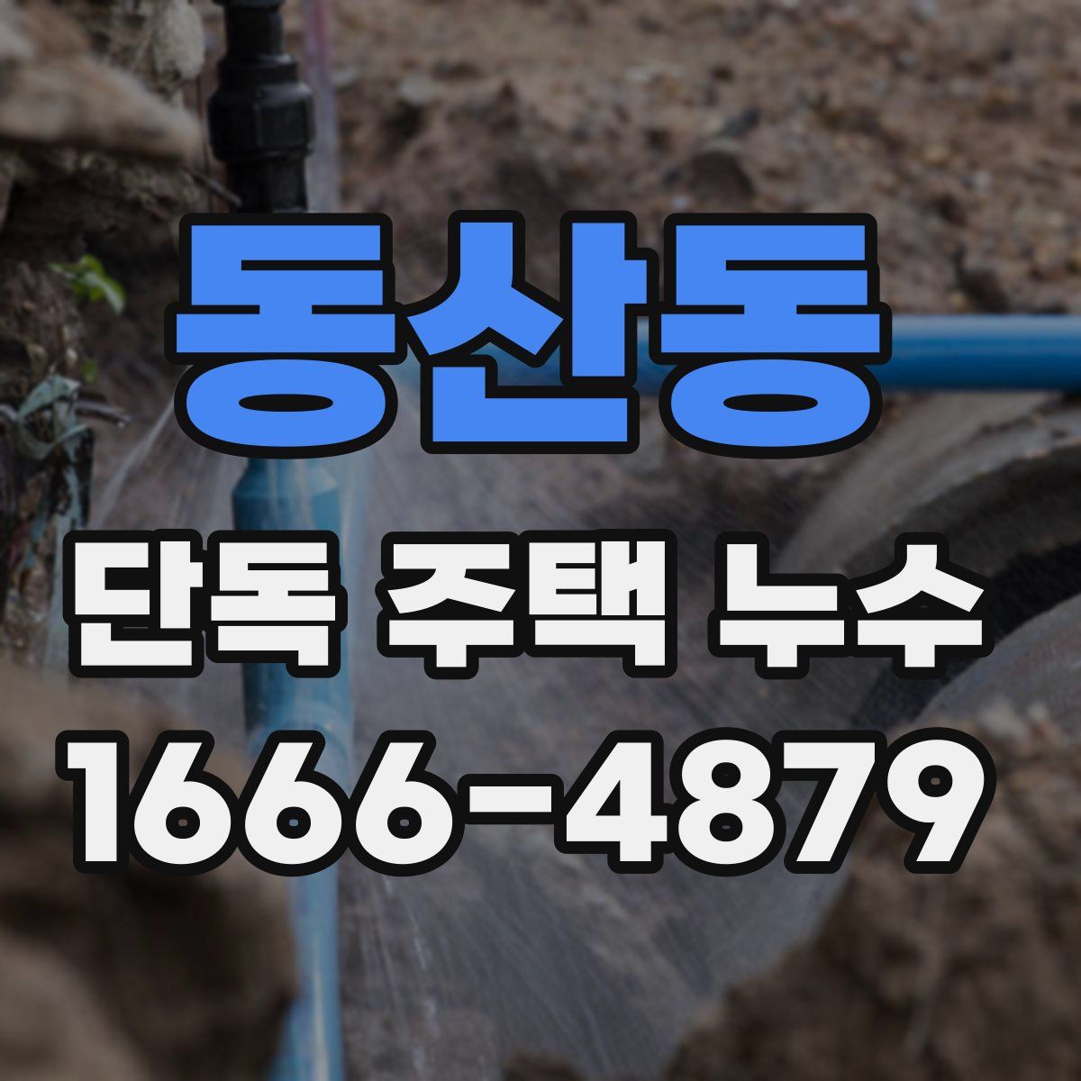 동산동 단독 주택 누수
