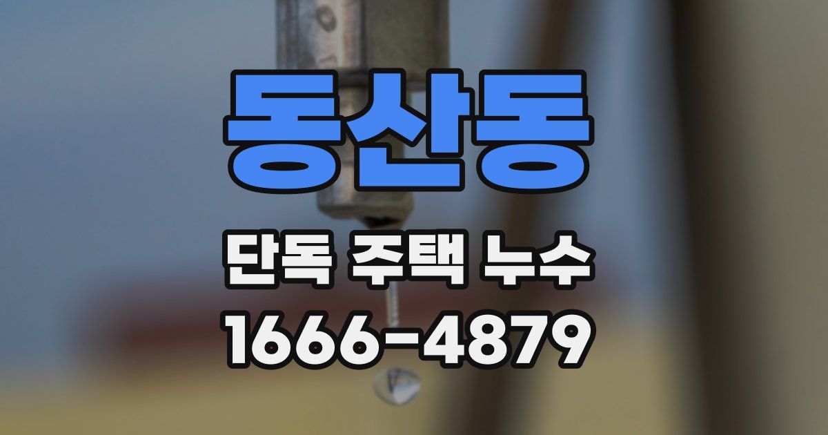 동산동 단독 주택 누수
