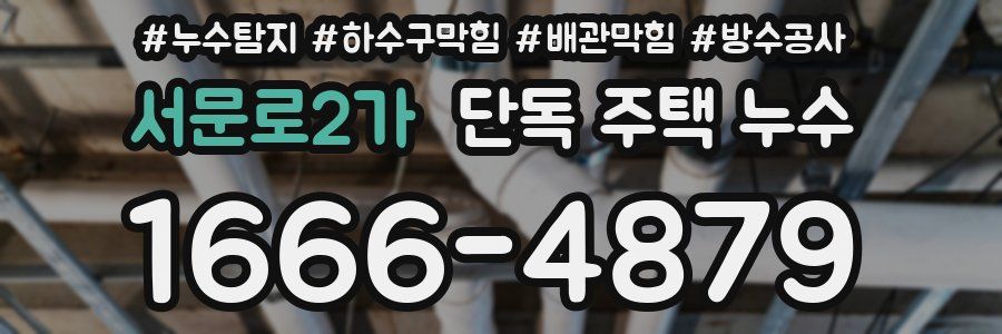 서문로2가 단독 주택 누수