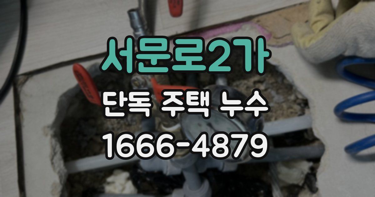 서문로2가 단독 주택 누수