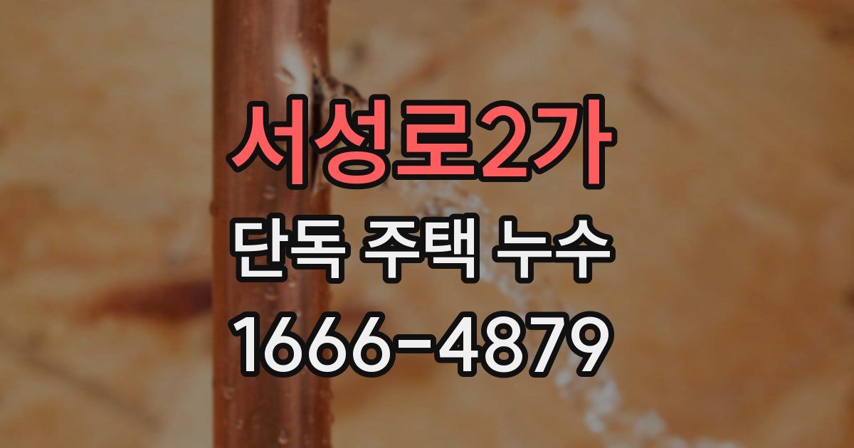 서성로2가 단독 주택 누수