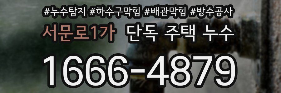 서문로1가 단독 주택 누수