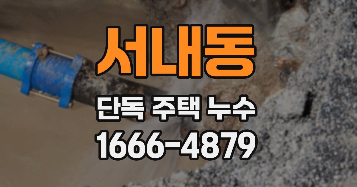서내동 단독 주택 누수