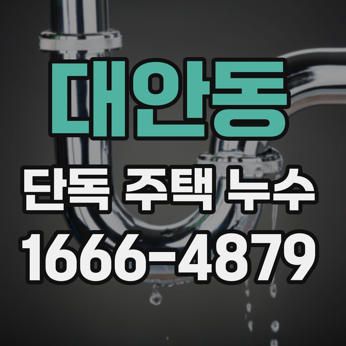 대안동 단독 주택 누수 점검으로 알 수 있는 구조 문제