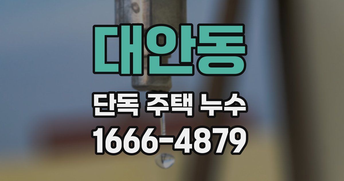 대안동 단독 주택 누수