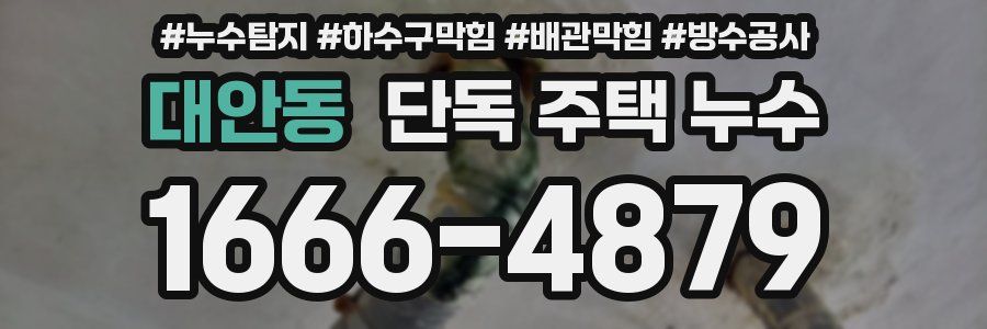 대안동 단독 주택 누수