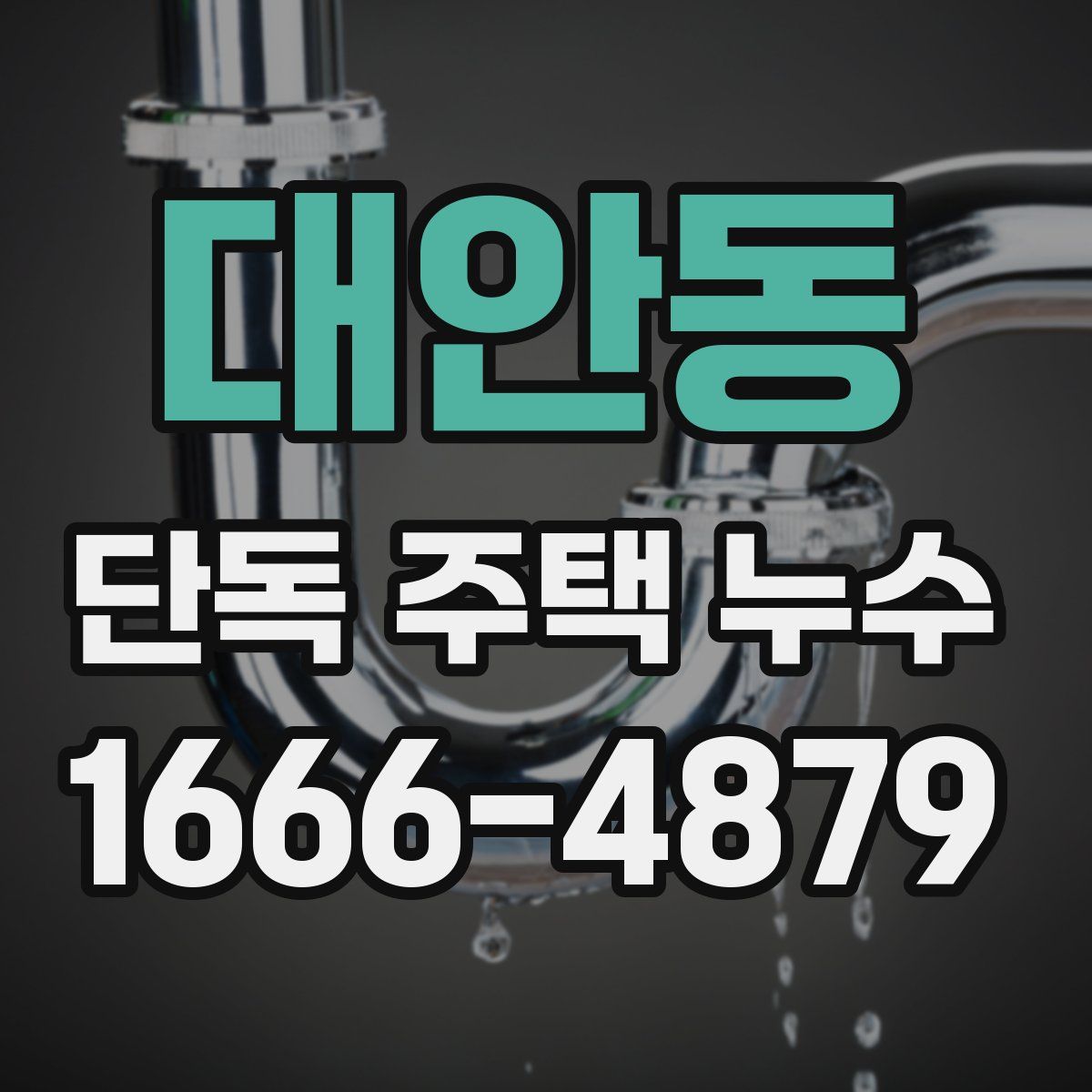 대안동 단독 주택 누수
