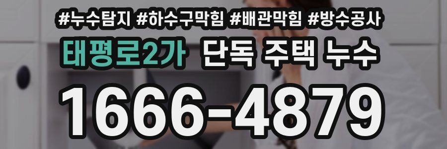 태평로2가 단독 주택 누수