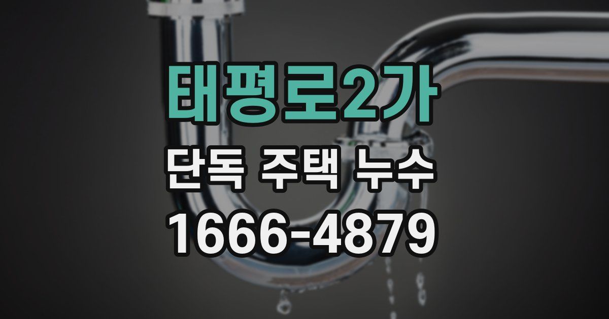 태평로2가 단독 주택 누수