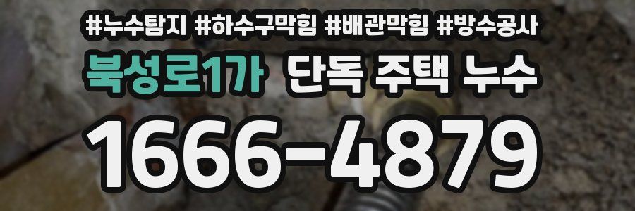 북성로1가 단독 주택 누수