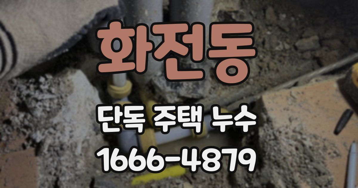 화전동 단독 주택 누수