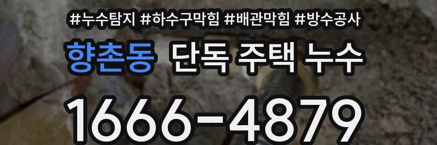 향촌동 단독 주택 누수