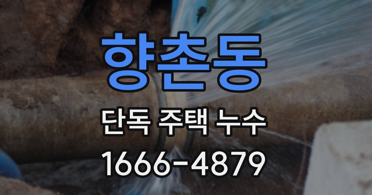 향촌동 단독 주택 누수