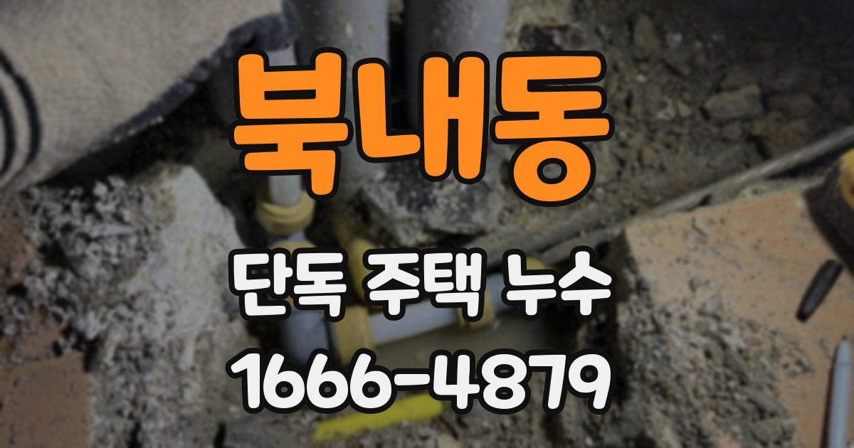 북내동 단독 주택 누수