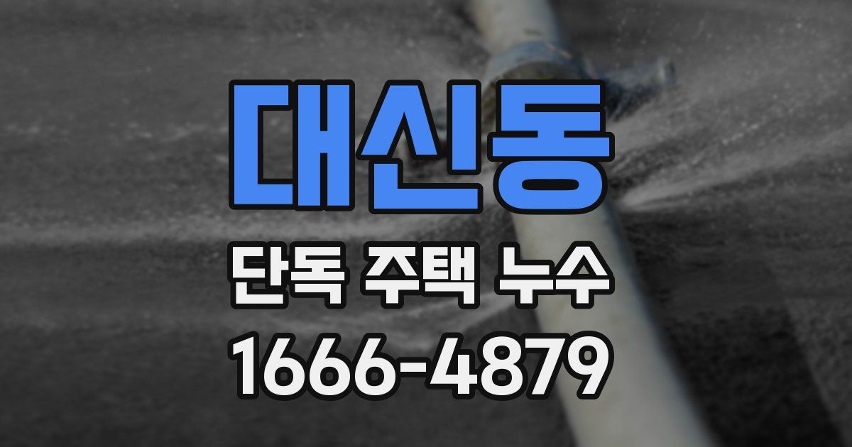 대신동 단독 주택 누수